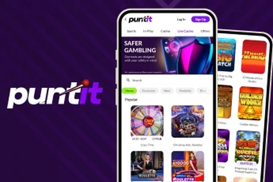 Puntit login guide mobile access