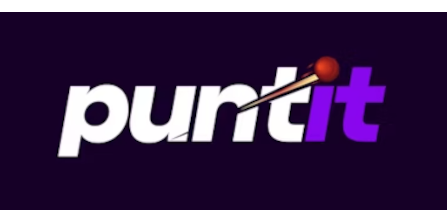 Puntit logo