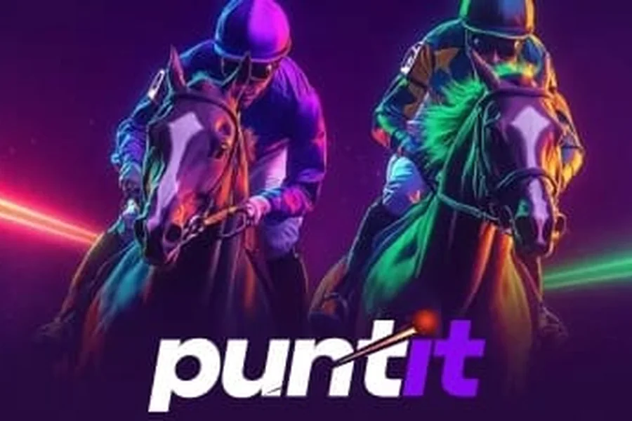 Puntit platform overview India